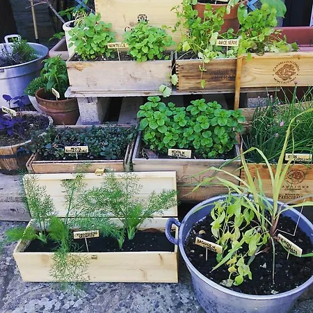 Vakantieboerderij Ca' Lucano Arezzo